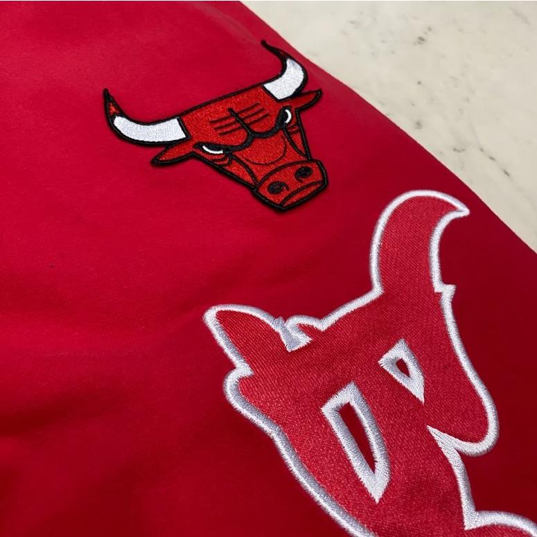 NBA公式 FISLL シカゴ ブルズ Chicago Bulls ハイクラス仕様