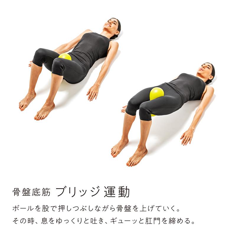 SAKURAi（サクライ） トレーニングボール 骨盤底筋しまり erugam 54174