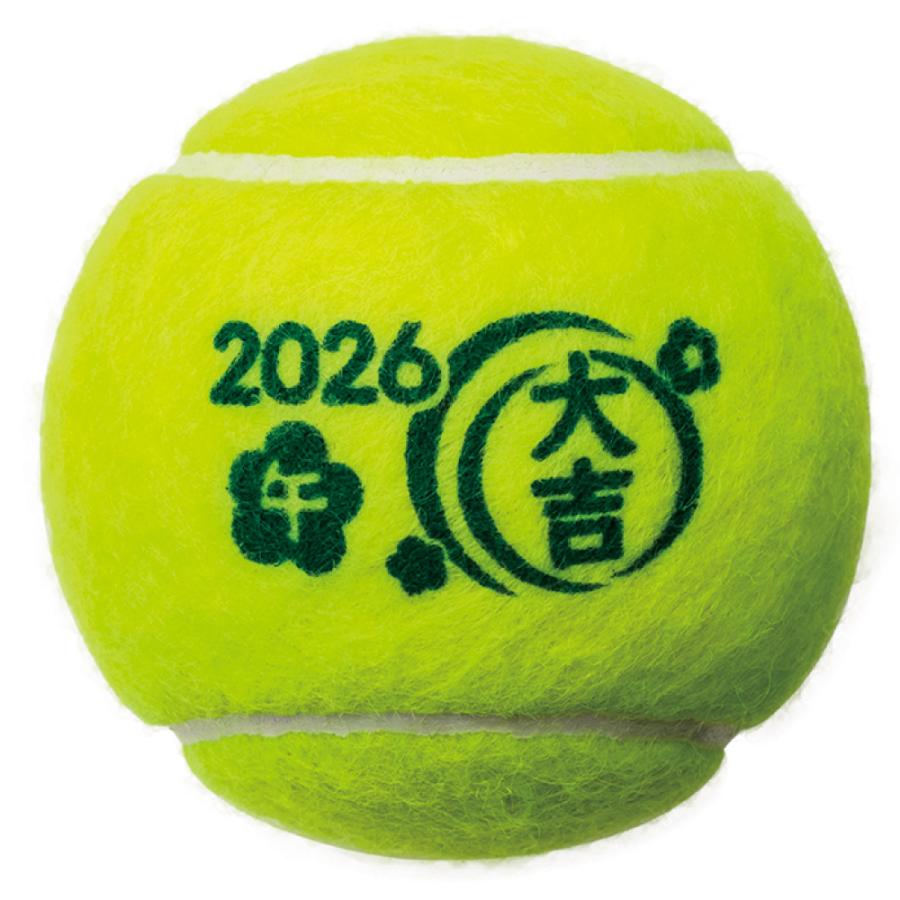 DUNLOP（ダンロップ） フォート 干支ボール(2026年午） FORT 2球缶