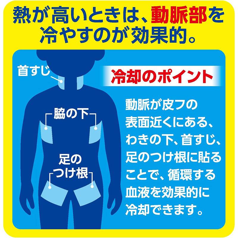 アイスノン 白元アース 冷却シート大判 10枚入 : 東京生活館 Yahoo!店