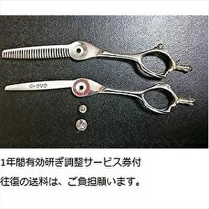 HIKARI 光 ヒカリシザー Koryu JUNIOR 光龍 ジュニア 507 6.0インチ