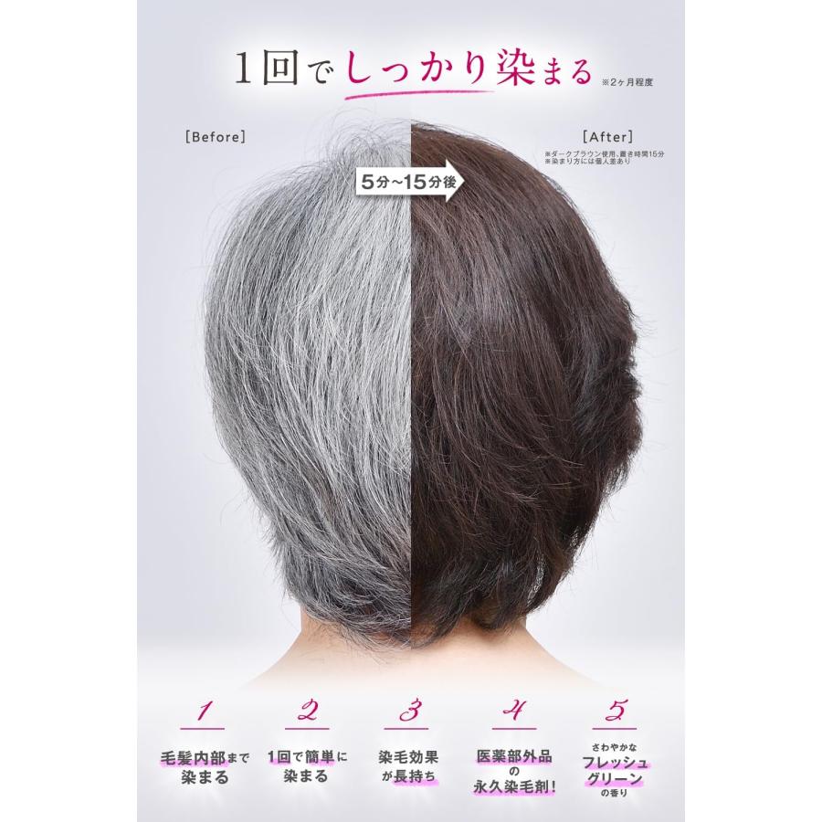 ヘアボーテエクラ ボタニカル エアカラーフォーム EX ナチュラル