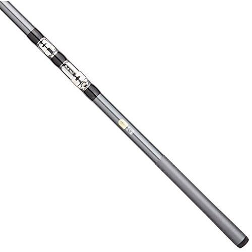 シマノ(SHIMANO) 磯竿 17 ホリデー磯 2号 530 サビキ釣り : LIKE.SHOP