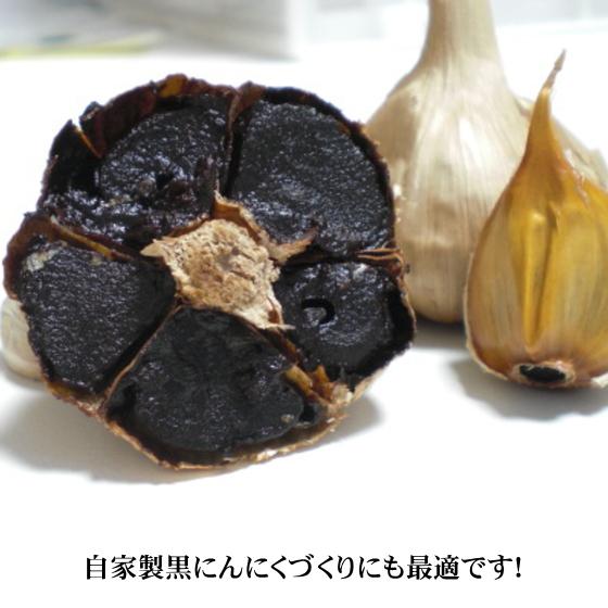 にんにく 青森 国産 Mサイズ 10kg A品 福地ホワイト六片 : みちのく処