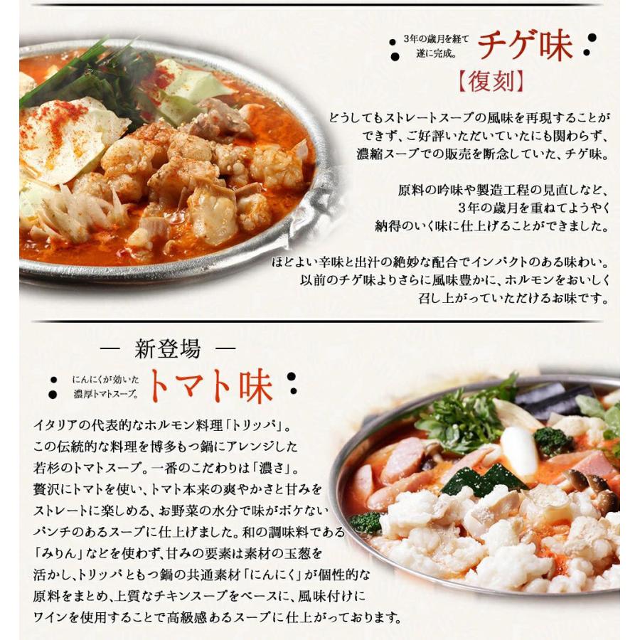 博多若杉 もつ鍋 もつ鍋セット（4-5人前）お取り寄せ鍋セット 牛もつ鍋