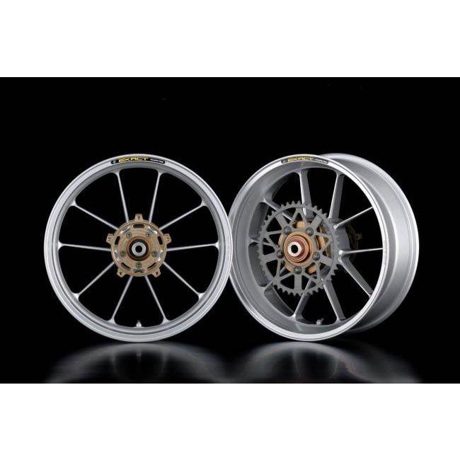 ADVANTAGE（アドバンテージ） EXACT RACING 10 フル鍛造マグネシウム