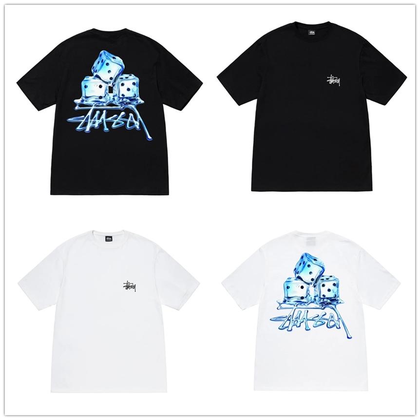STUSSY（ステューシー） STUSSY MELTED TEE 1904900 メンズ 半袖 T