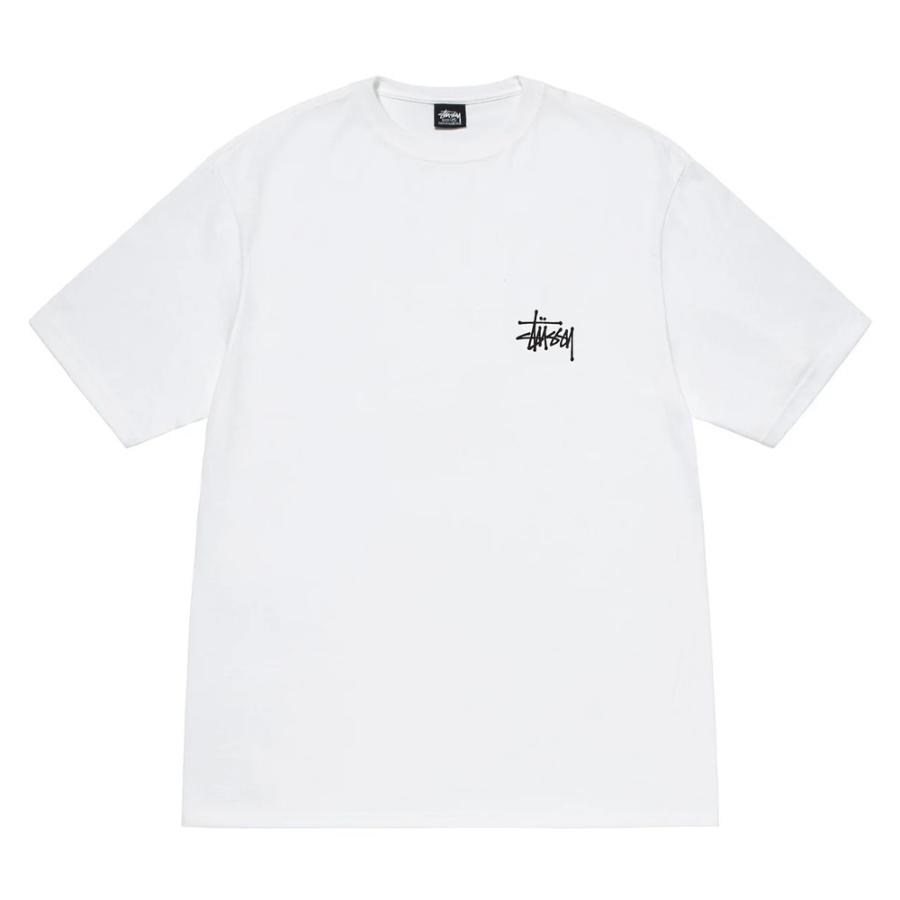 STUSSY（ステューシー） STUSSY MELTED TEE 1904900 メンズ 半袖 T