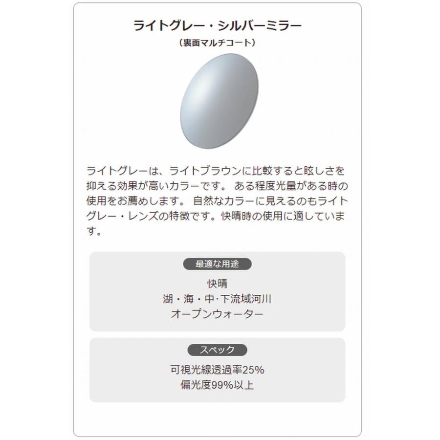 サイトマスター マニフィコ ブラウンデミ 【レンズカラー：LG/シルバー