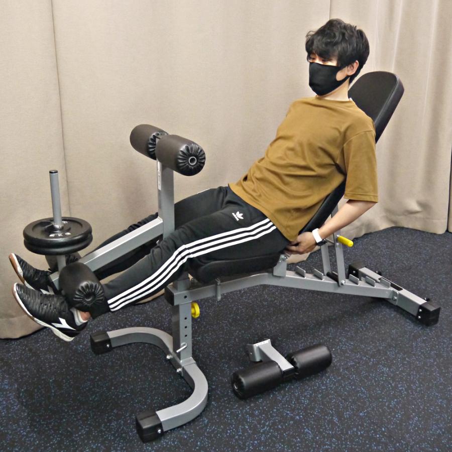 WILD FIT（ワイルドフィット） マルチパーパスベンチ (レッグ