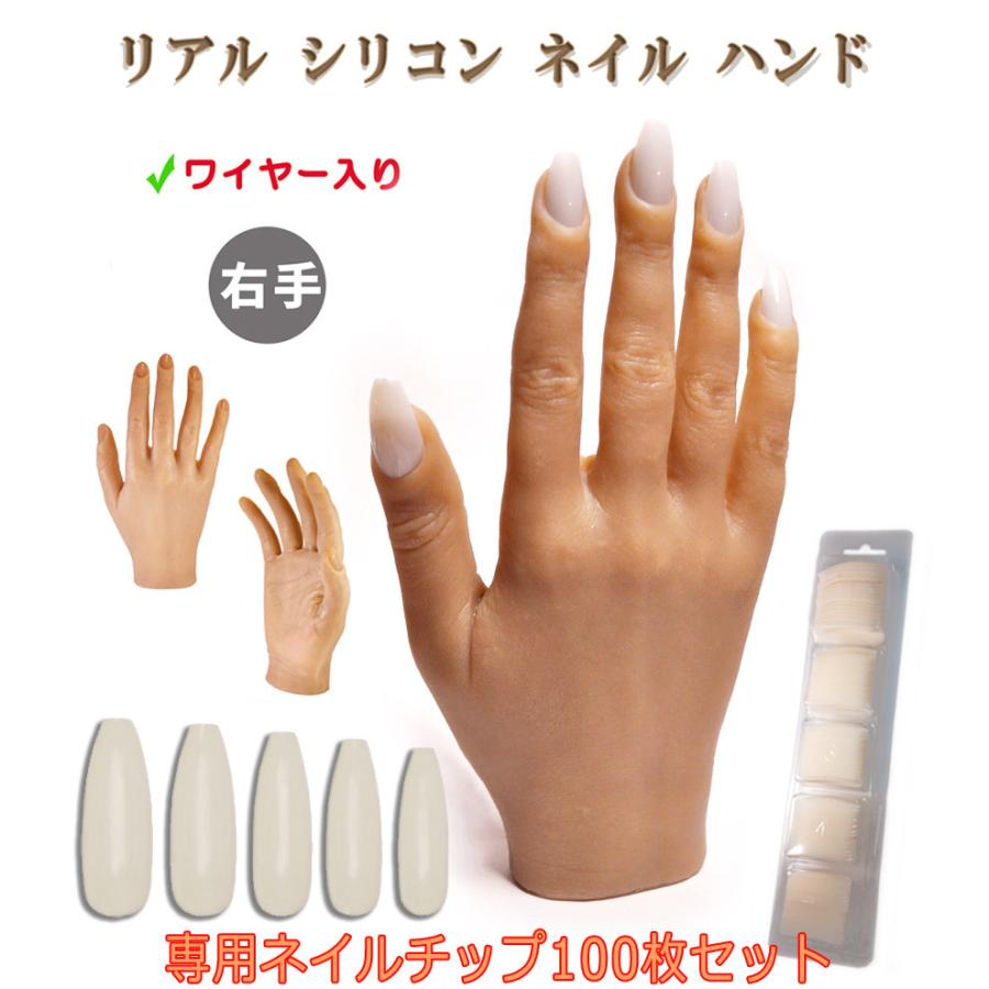 MODEL HAND ネイルアート練習用手モデル STハンド