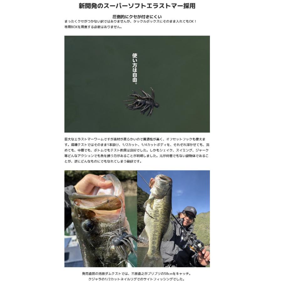 IMAKATSU（イマカツ） ヘアリースパーダー クジャラHairy Spider