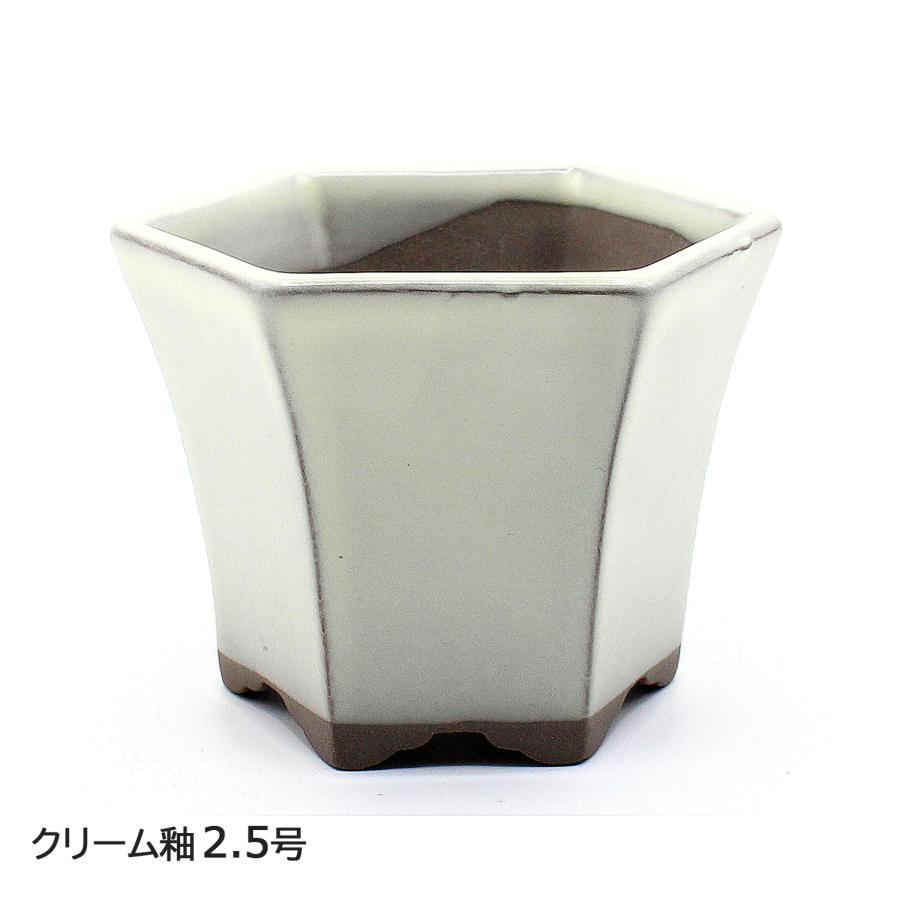 盆栽鉢 2号クラス ミニ 六角反鉢 懸崖 小鉢 瀬戸焼 2.5号 深型 陶器 約