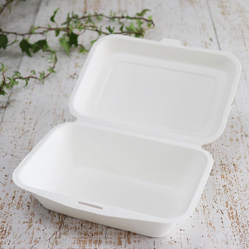 バガス 再生紙製容器 バガスモールド ランチボックス 600ml 183×136