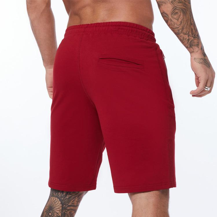 vanquish fitness ヴァンキッシュ フィットネス Exodus shorts ハーフ
