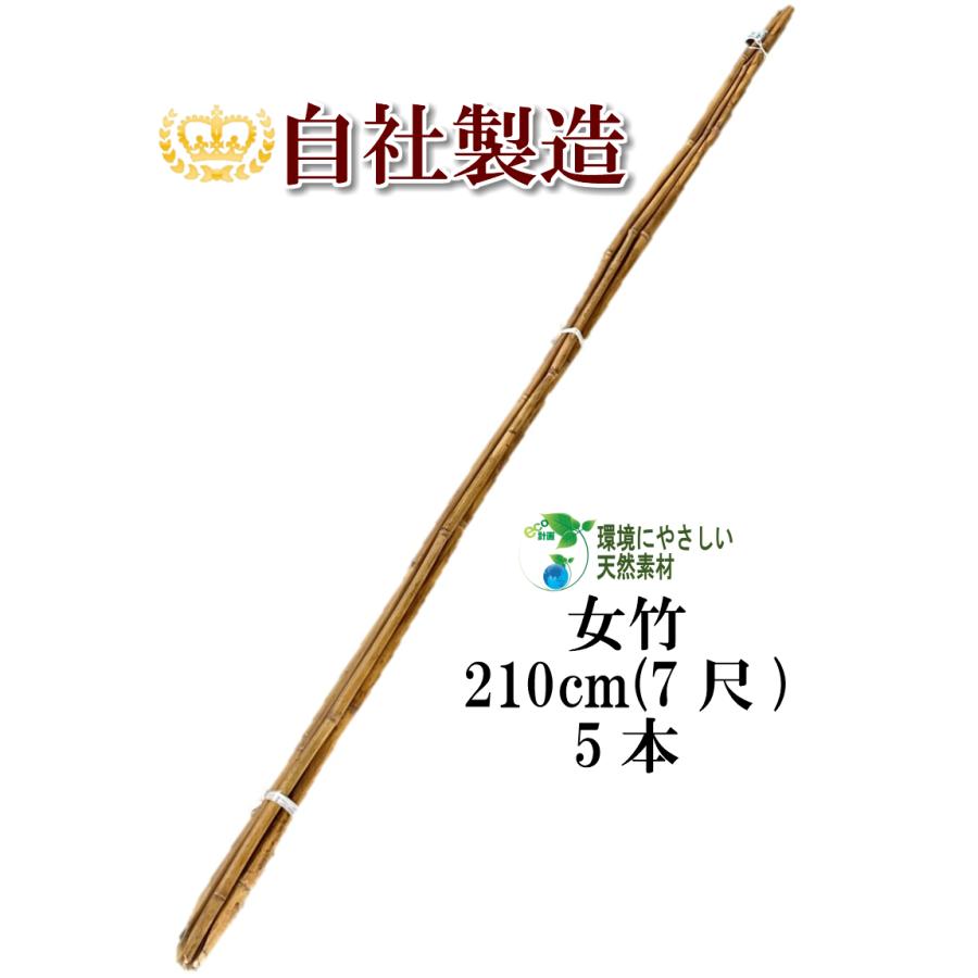 女竹 210cm 5本 篠竹 天然竹 竹支柱 添え木 園芸用 農業用 定植時支柱