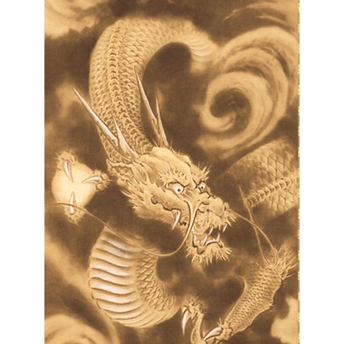 掛軸 日本の伝統と文化 掛軸 開運金龍（縁起） 今井玲豊作 尺五立