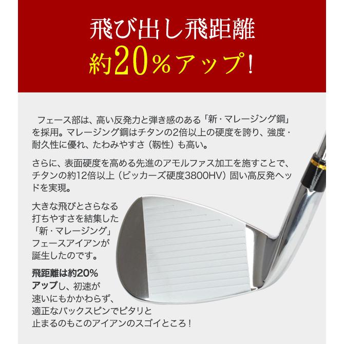 東邦ゴルフ アイアンセット NOW310 6本セット #5 6 7 8 9 PW