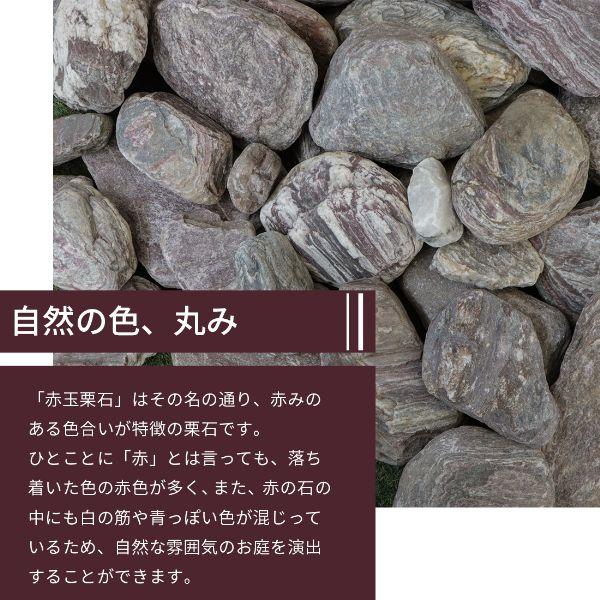 赤玉栗石 50-250mm 18kg [在庫限り] / 庭 石 庭石 おしゃれ 置き石