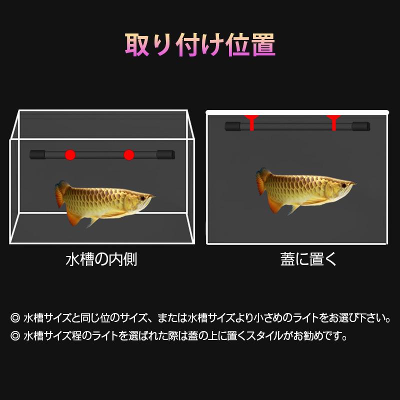 MAYIN マイン 白青金マジックライト 92cm アクアリウムライト 金龍 藍