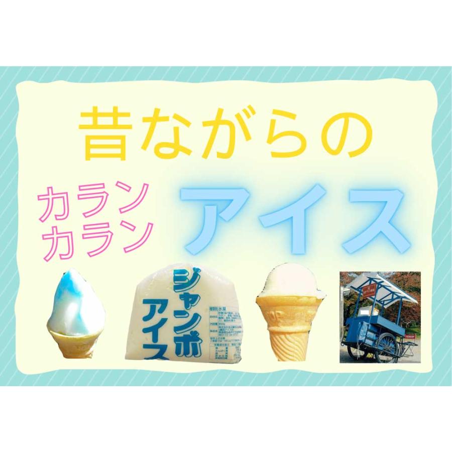 送料無料 藤田アイス店 アイスセット （リンゴ味 イチゴ味 コーン