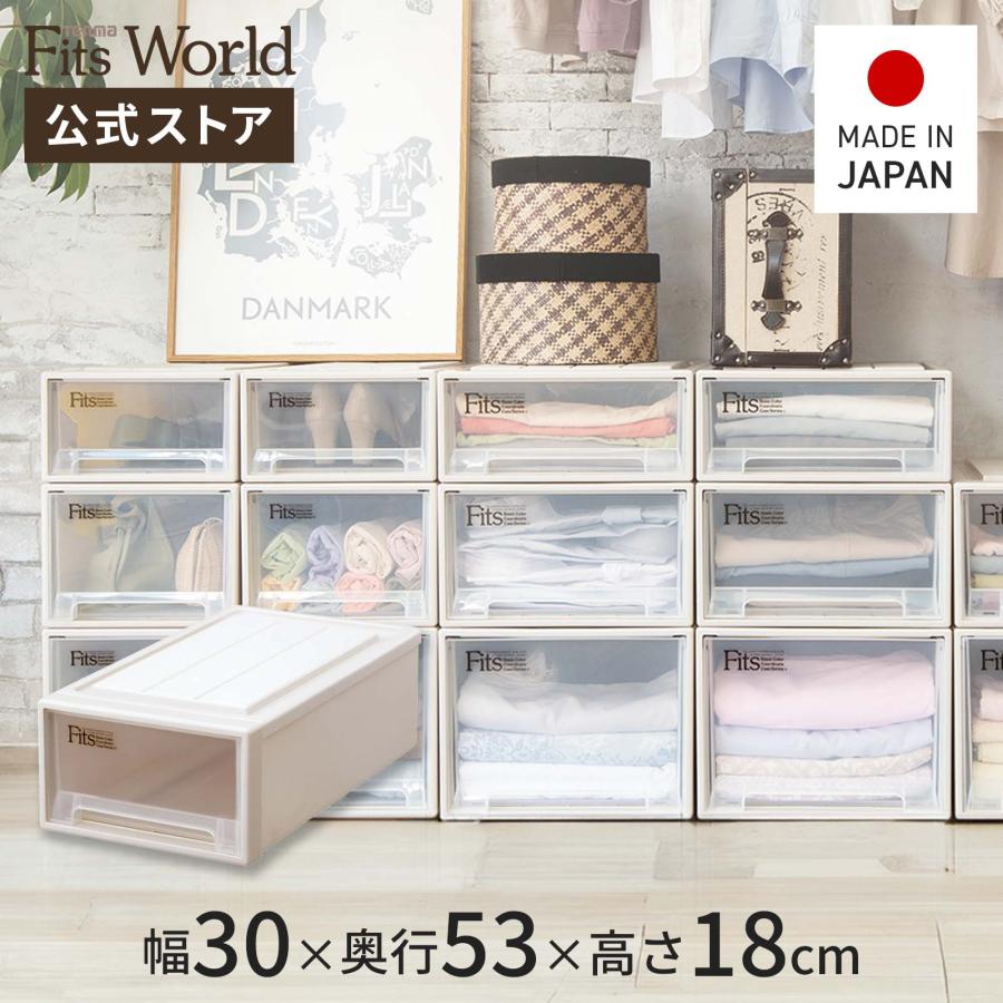 天馬 収納ケース 衣装ケース フィッツケース クローゼット S-30