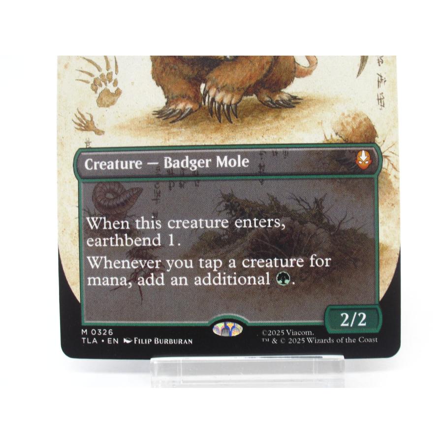 mtg アナグマモグラの仔 ボーダーレス MTG アナグマモグラの仔 326