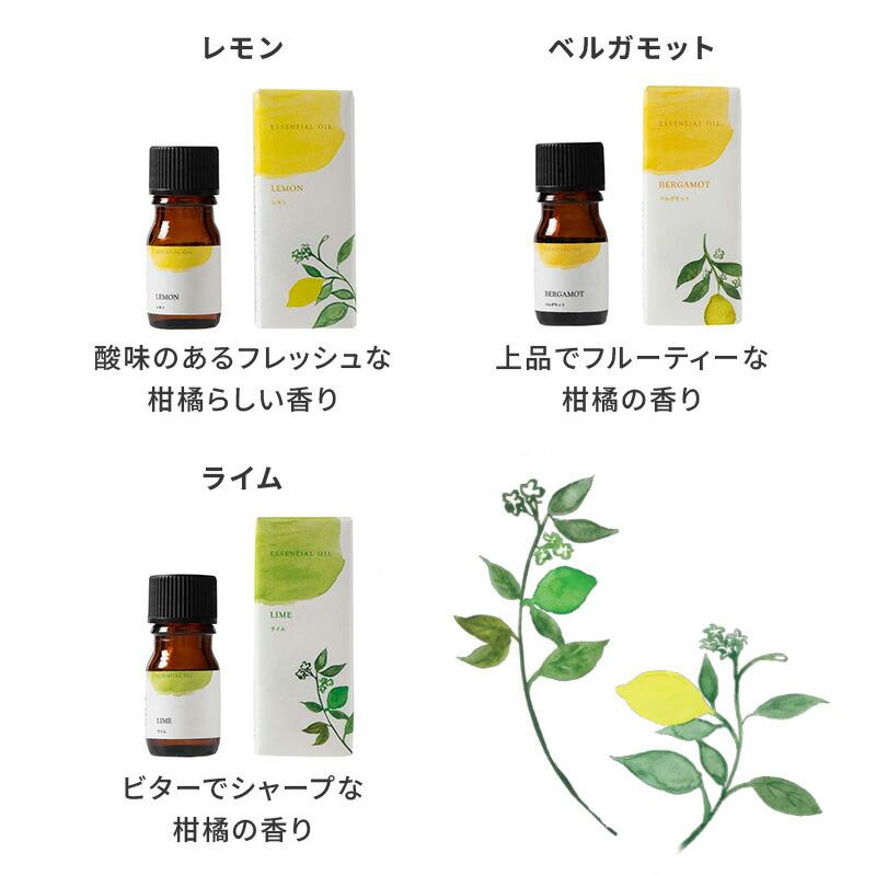 生活の木 公式 人気アロマ 選べる3本セット 5ml アロマ アロマオイル