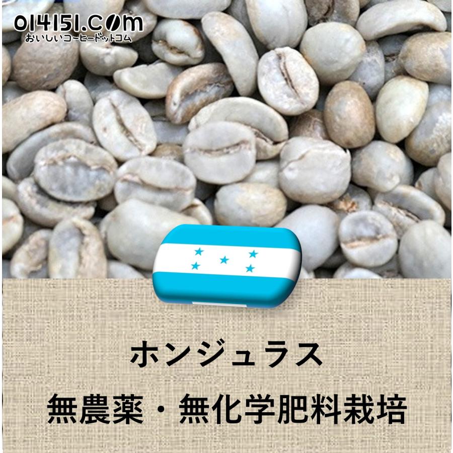 014151.com（おいしいコーヒードットコム） コーヒー生豆 ホンジュラス