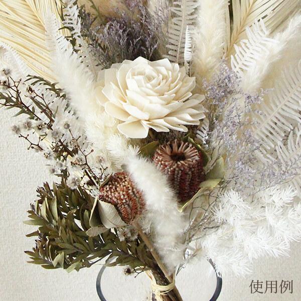 ドライフラワー 花材 即日出荷 テールリード 白 パンパス パンパス系
