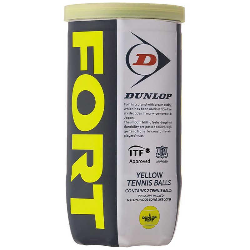 DUNLOP（ダンロップ） 硬式テニスボール FORT 2個入 イエロー FORT2