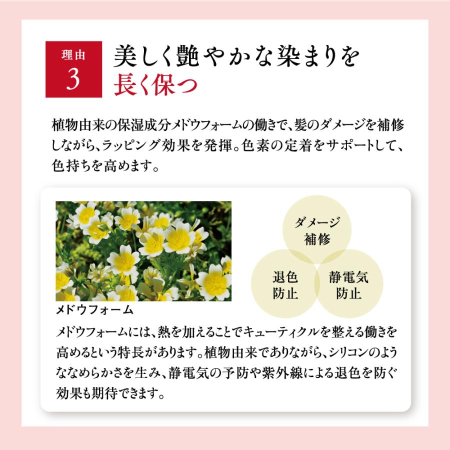 山田養蜂場 RJヘアカラートリートメント ライトブラウン 210g ダメージ