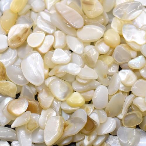 シェル貝 さざれ石(穴なし) 淡水シェル 5-7mm(50g) : ビーズアンド