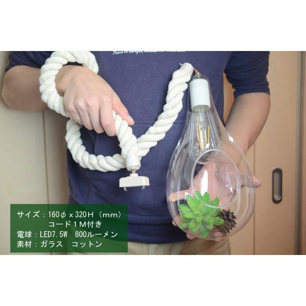 スワン電器 ペンダントライト 照明 おしゃれ ガラス LED 1灯