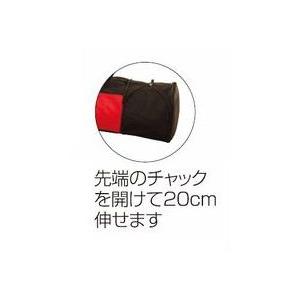 SWIX（スウィックス） スキーケース ホイルダブルスキーケース(190cm