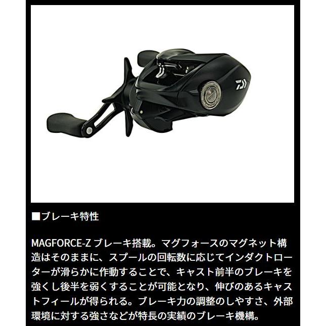 DAIWA（ダイワ） 24 タトゥーラ TW 100XHL : つり具の銭屋 - 通販