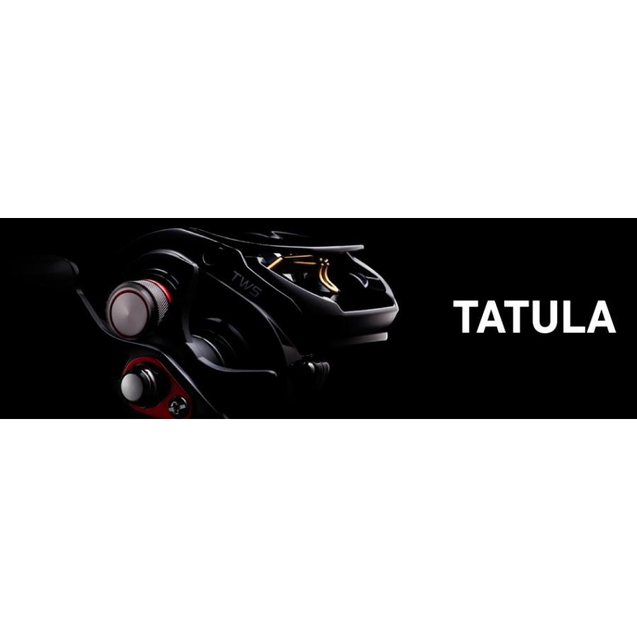 DAIWA（ダイワ） タトゥーラ 100SH-TW / TATULA ベイトリール 右