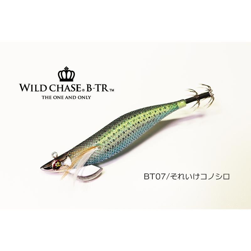 スクイッドマニア ワイルドチェイス B-TR 3.5号 30g / SQUID MANIA