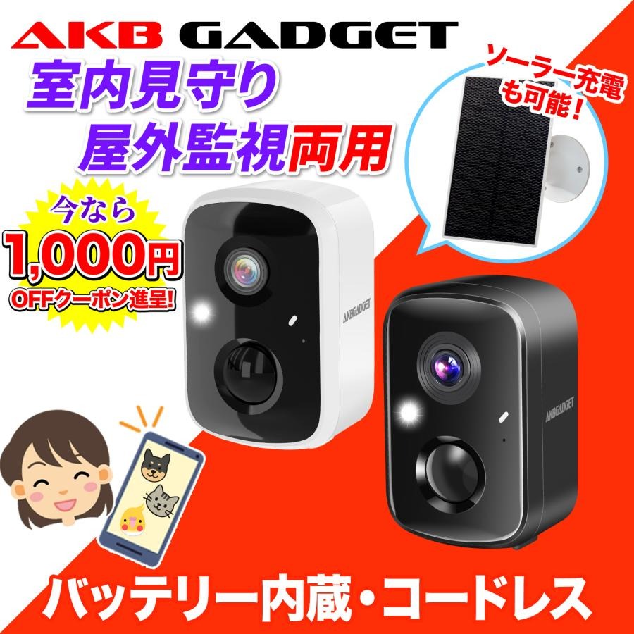 朝日電器 ワイヤレスカメラ＆モニターセット CMS-H1001 防犯カメラ