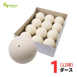 NAGASE KENKO（ナガセケンコー） ソフトテニスボール イエロー(TSOY-V