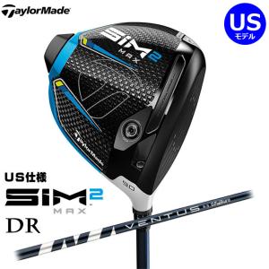 MIZUNO（ミズノ） Mizuno Pro 118 アイアン ダイナミックゴールド120