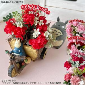 となりのトトロ ジオラマボックス＆母の日造花アレンジセット(メイの
