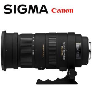DG（シグマ） シグマ SIGMA APO 50-500mm F4.5-6.3 DG OS HSM 超望遠