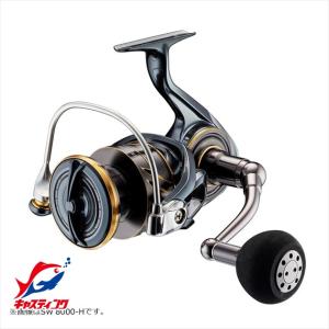 DAIWA（ダイワ） スピニングリール BG SW 10000-H 23年モデル : 釣具の