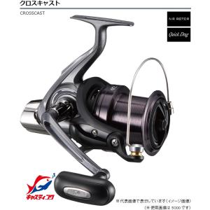 DAIWA（ダイワ） 20 レブロス LT 6000D-H リール スピニングリール