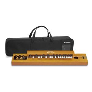 鈴木楽器製作所 大正琴 特松 / 初心者に適した箱型大正琴。ケース