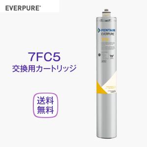 エバーピュア 2DC 浄水器カートリッジ 業務用 : 厨房 キッチンプラス