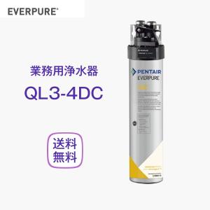 エバーピュア QL3-7CB5-S 浄水器 業務用 フィルターヘッド付 : 厨房