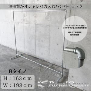 ガス管 ハンガーラック 2段式 タイプF 約W108cm×H188cm : Royal