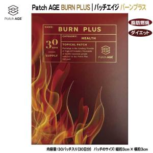 PYR FILING PLUS ダイエットサプリ 45粒 2箱セット パイラファイリング